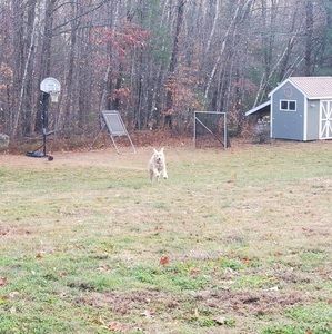 Meet your Posher, Luke